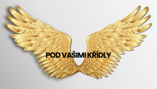 POD VAŠIMI KŘÍDLY - videomedailonky